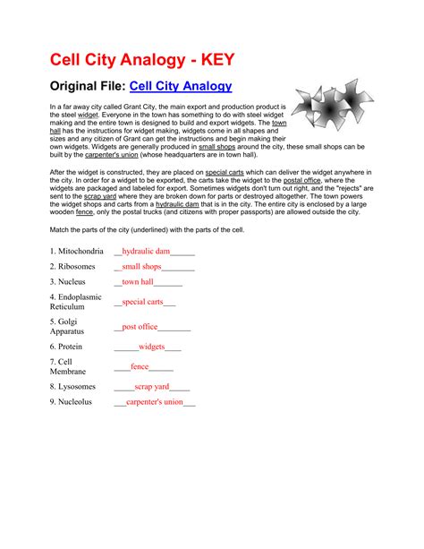 cell city analogy widget worksheet answer key